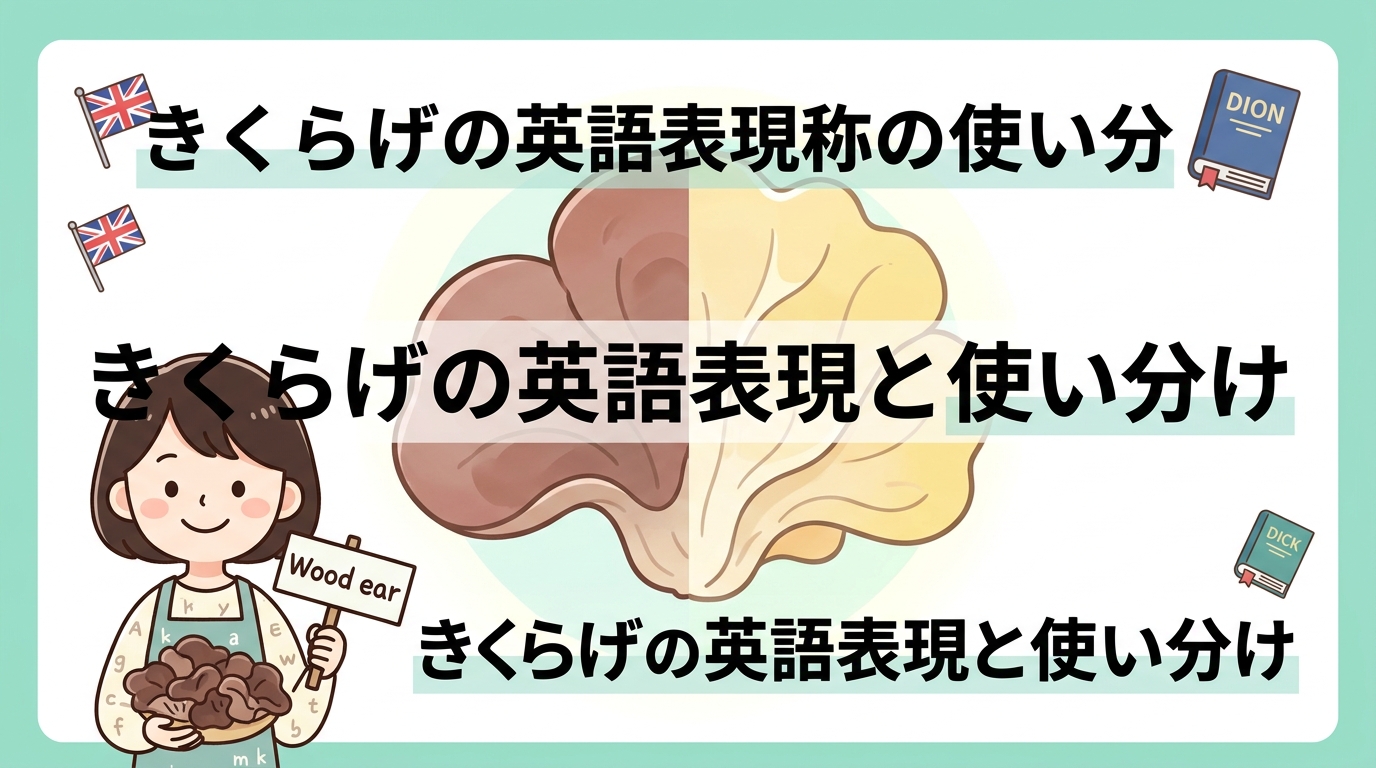木耳の英語表現と名称の使い分け