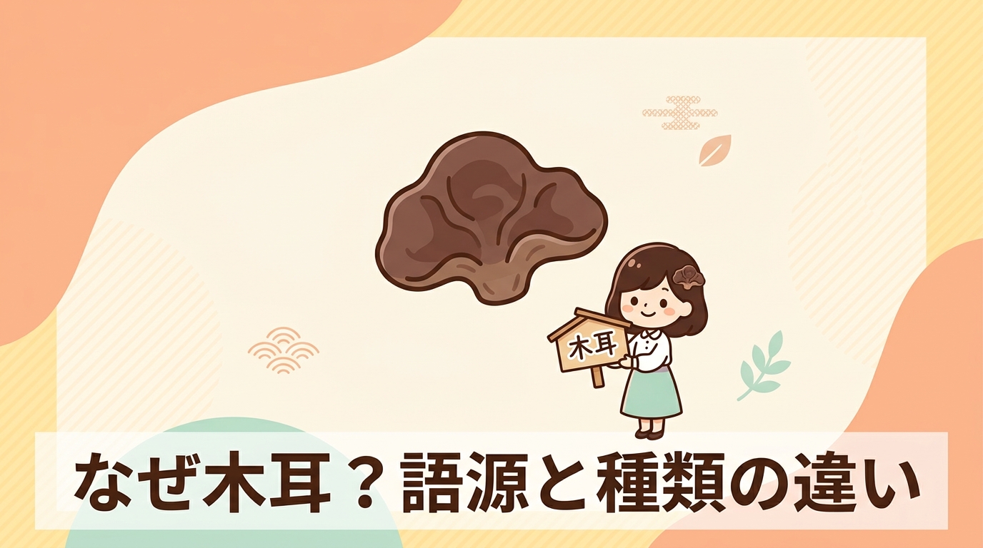 木耳の語源と種類による違い