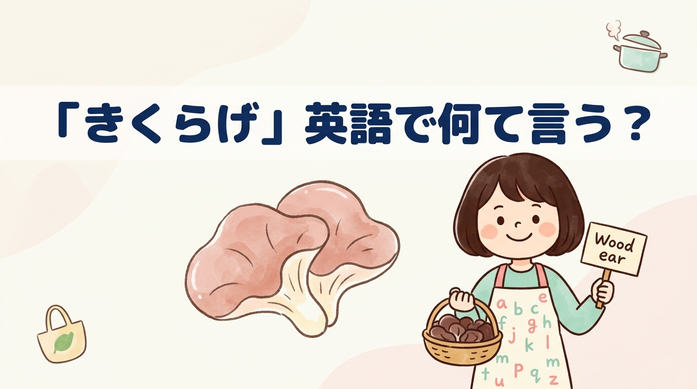木耳の料理や買い物で役立つ英語